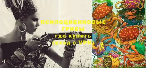 гашик Баксан