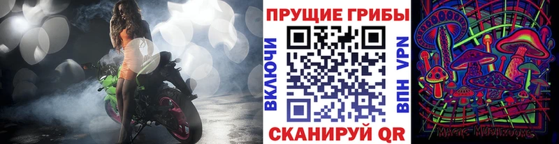 хочу наркоту  Сычёвка  Галлюциногенные грибы ЛСД 