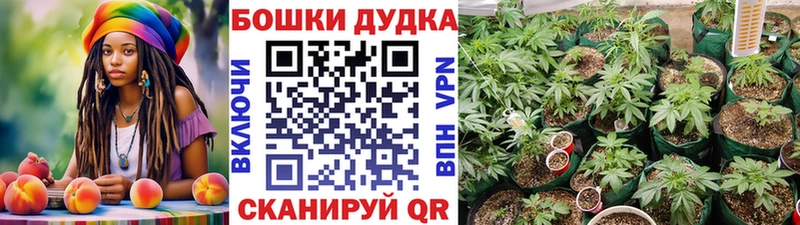 цены наркотик  Сычёвка  Марихуана индика 